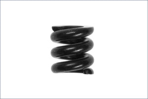 Diff Tensionner Spring ZX-5/RB5