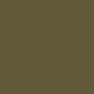 Acrylic Model Paint 1 oz bottle, Olive Drab 41 USAAF