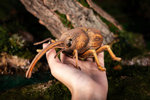 Weevil 3D Puzzle, Bring Nature Home