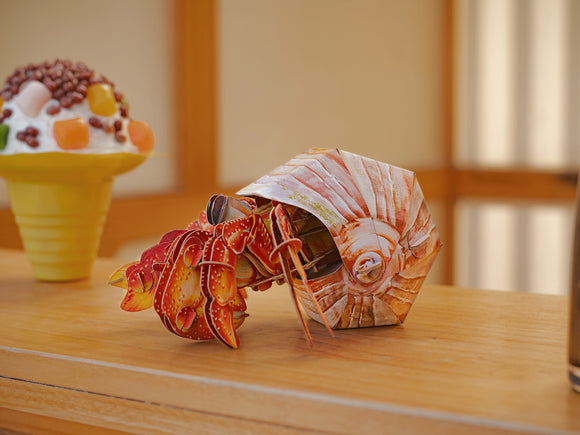 Hermit Crab 3D Puzzle, Bring Nature Home