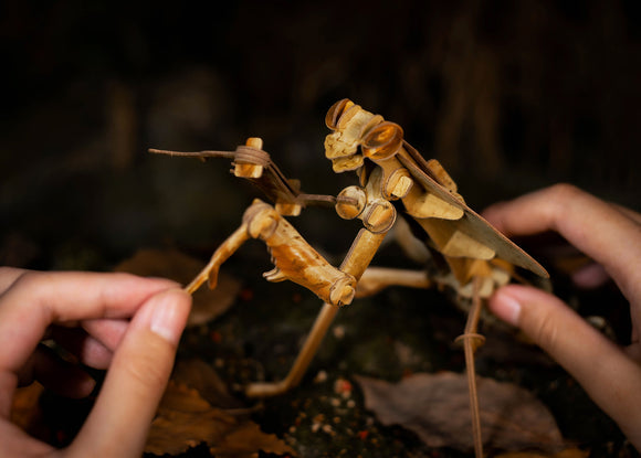 Dead Leaf Mantis 3D Puzzle, Bring Nature Home