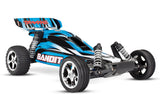 BANDIT 1/10 EXTRME SPORTS BUG - Race Dawg RC