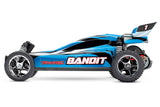 BANDIT 1/10 EXTRME SPORTS BUG - Race Dawg RC