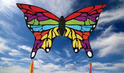 Rainbow Butterfly - Race Dawg RC