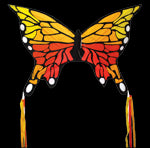 Monarch Butterfly - Race Dawg RC